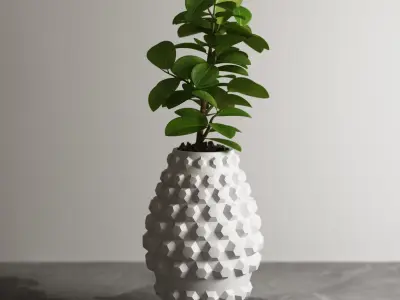 pot collection a09 5 pots