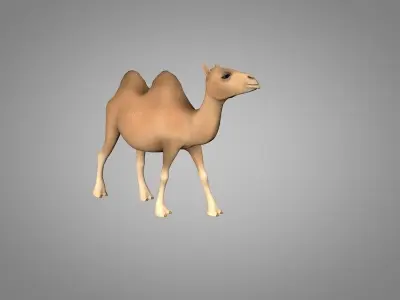 Camel Low-poly 3D model 5