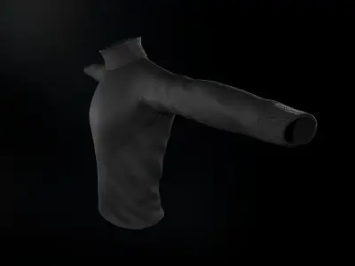 Turtleneck Low-poly 3D model