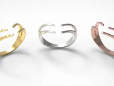 Minimal ring Ready for 3d printing 3dm stl 3D print model