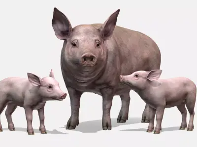 PIG FAMILY Low-poly 3D model
