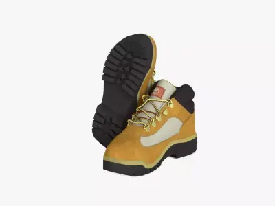 Timberland Waterproof Field Wheat Nubuck A18RI231 Low-poly 3D model