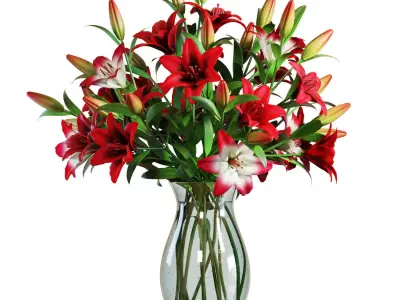 Flower Set 14 - Red Lilies Bouquet 3D model