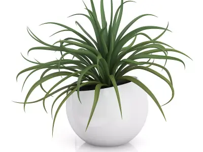 Plant in Sphere Pot 3D model