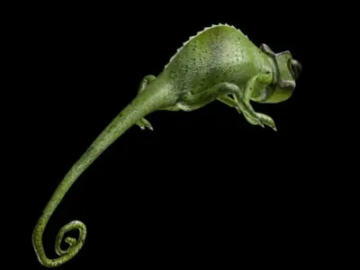 Chameleon walk rigged animated Low-poly 3D model