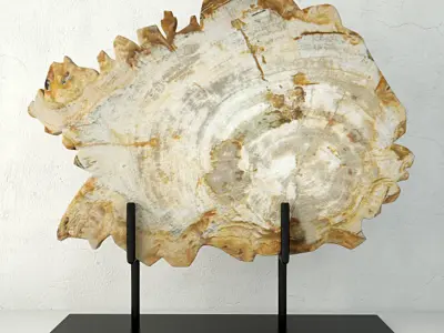 Petrified Wood On Stand 3D model