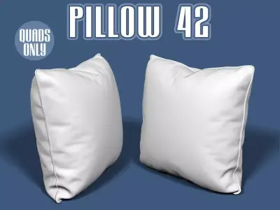 Pillow 42 3D model