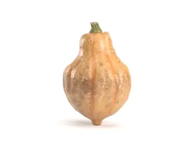 Decorative Pumpkin Gourd 4 3D model