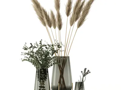 Plants in Echasse Vases 3D model