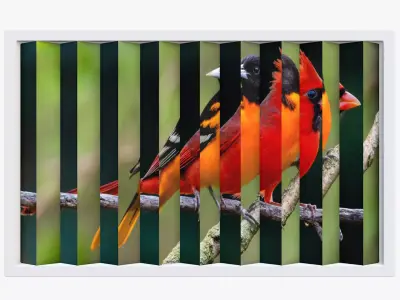 double sided image Low-poly 3D model