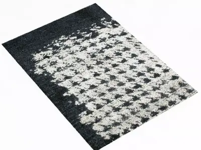 Baxter SCARLET PIED DE POULE CARPET 3D model