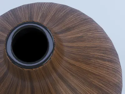 Wooden Vase 3D model