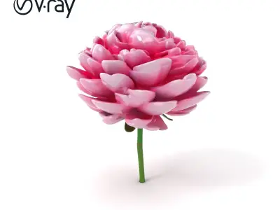 Double Peony Lush Blooms Elegance model pack Low-poly 3D model