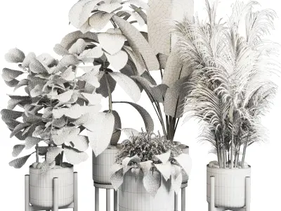collection Indoor plant 30 -wood vase Low-poly 3D model