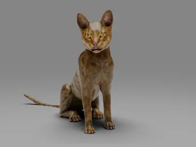 3D Cat Grey Rigged in Blender Low-poly 3D model