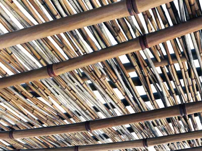 Branch bamboo long low n2 3D model