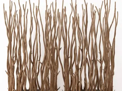 Branch folding screen Ring decor n1 3D model