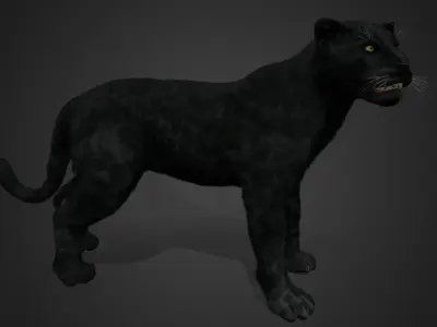 Panther Realistic Animated 3D model