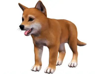 Puppy - Shiba Inu  Low-poly 3D model