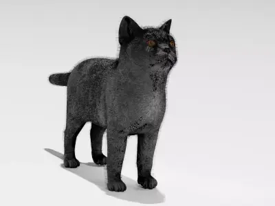 cat butiful cat with stripes  Low-poly 3D model