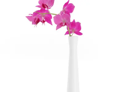 Orchid Flower in White Vase 3D model