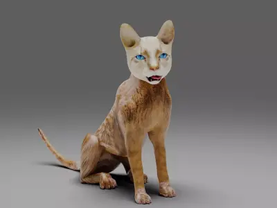 Cat White Rigged in Blender  Low-poly 3D model