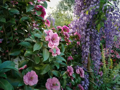 Maxtree Plant Models Vol 23 - Mesh 3D model