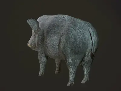 Wild Boar Low-poly 3D model purchase