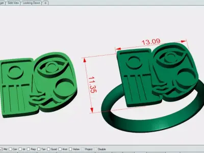The most special Face Ring 3D print model