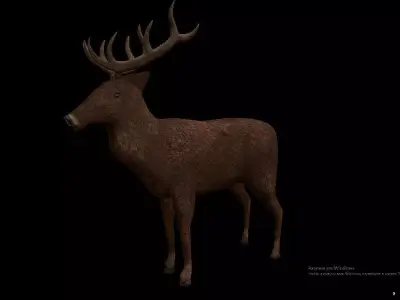 Brown Deer 3D model
