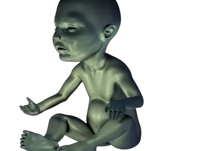 PRINT READY BABY SEATED 3 3D print model