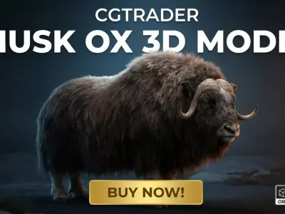 Musk Ox 3D Model Ultra Realistic Arctic Animal Low-poly 3D model