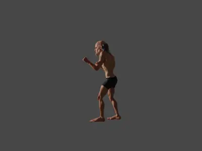 Old male boxer Free 3D model