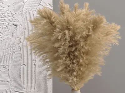 Decor Pampas Grass Set 16 3D model