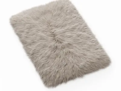 Fluffy rug with long fur 3D model