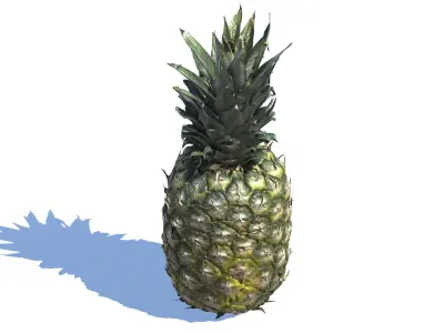 Pineapple photogrammetry scan  3D model