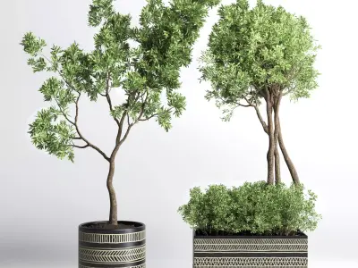 Collection Indoor plant 132 vase handmade pottery plant tree pot 3D model