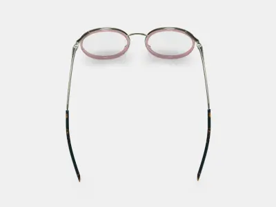 Bergen Eyeglasses in Rose Water with Riesling 3D model