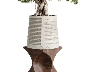 Bonsai Tree plants in a stand pot - Indoor Plant 697 3D model