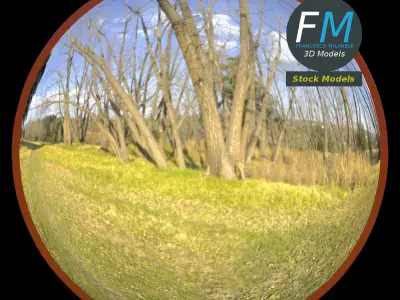 Blind spot traffic mirror 1 3D model