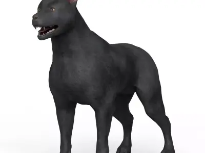 Black Dog Low-poly 3D model