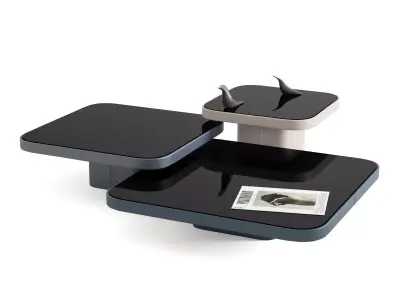 DS 3011 Coffee Tables 3D model