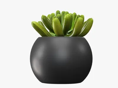 Potted plant decorative 01 3D model