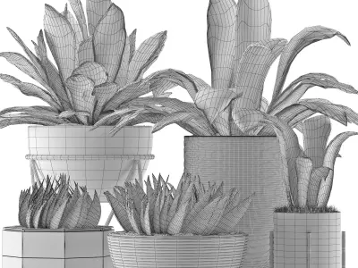 Plants Collection 15 3D model