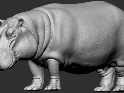 Animation ready  3d Hippo Model 3D model