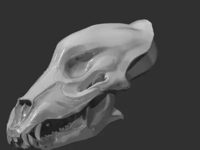 Wolf Skull Low-poly 3D model