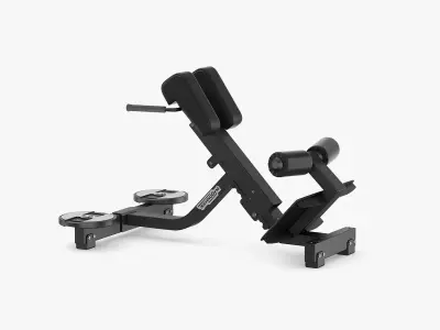 Technogym Pure Lower Back Bench  3D model