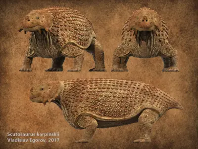 Scutosaurus karpinskii Low-poly 3D model