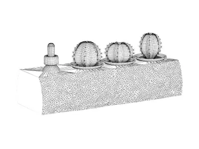 Tree Trunk with Cactuses 3D model