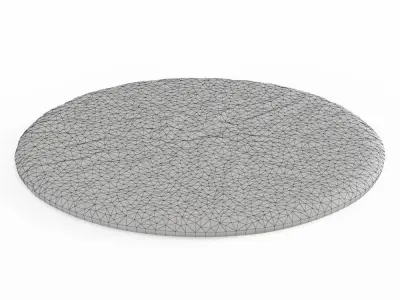 Round Rug Fur 3D model